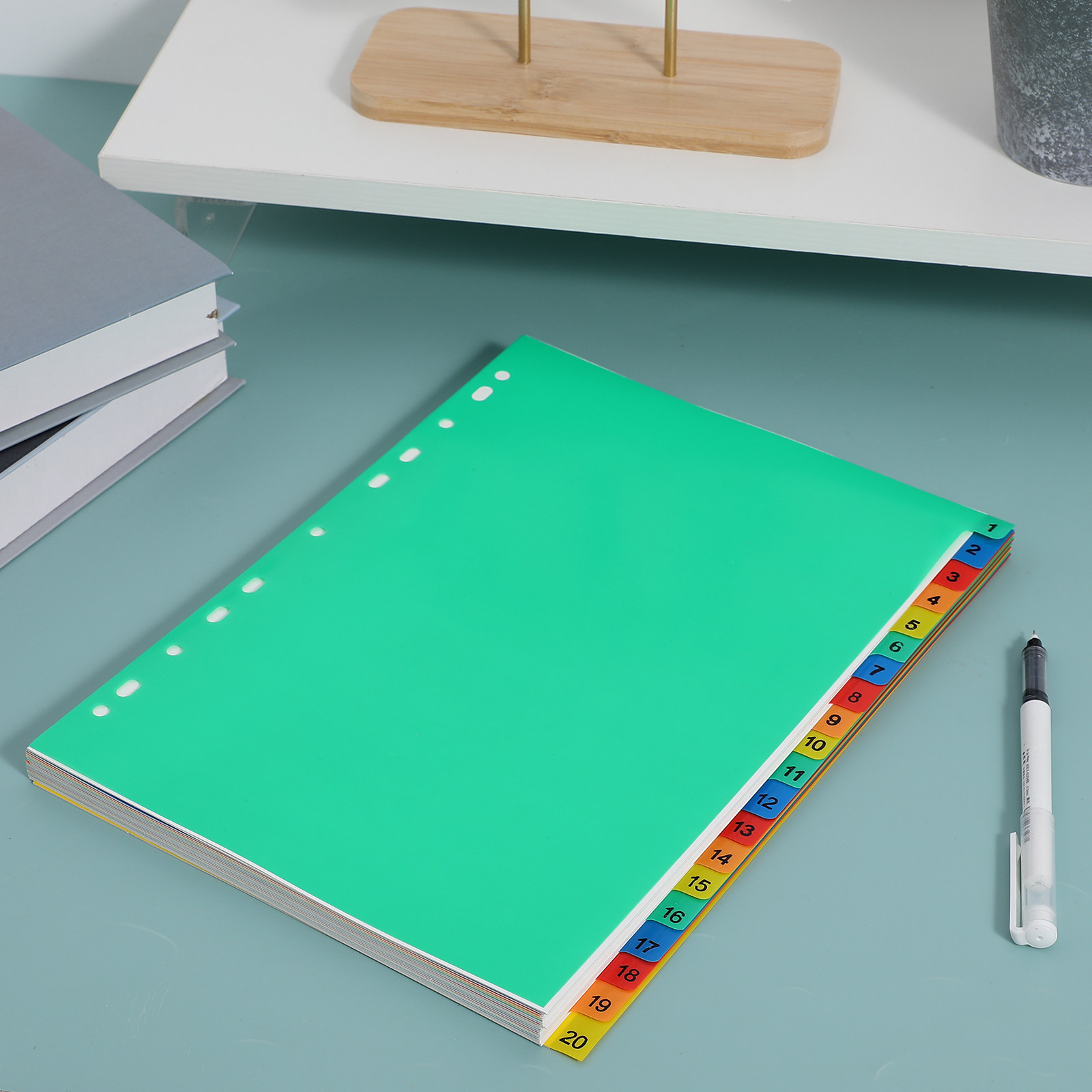 20 Pages A4 Colorful Plastic B - Tab Divider A4 review and price