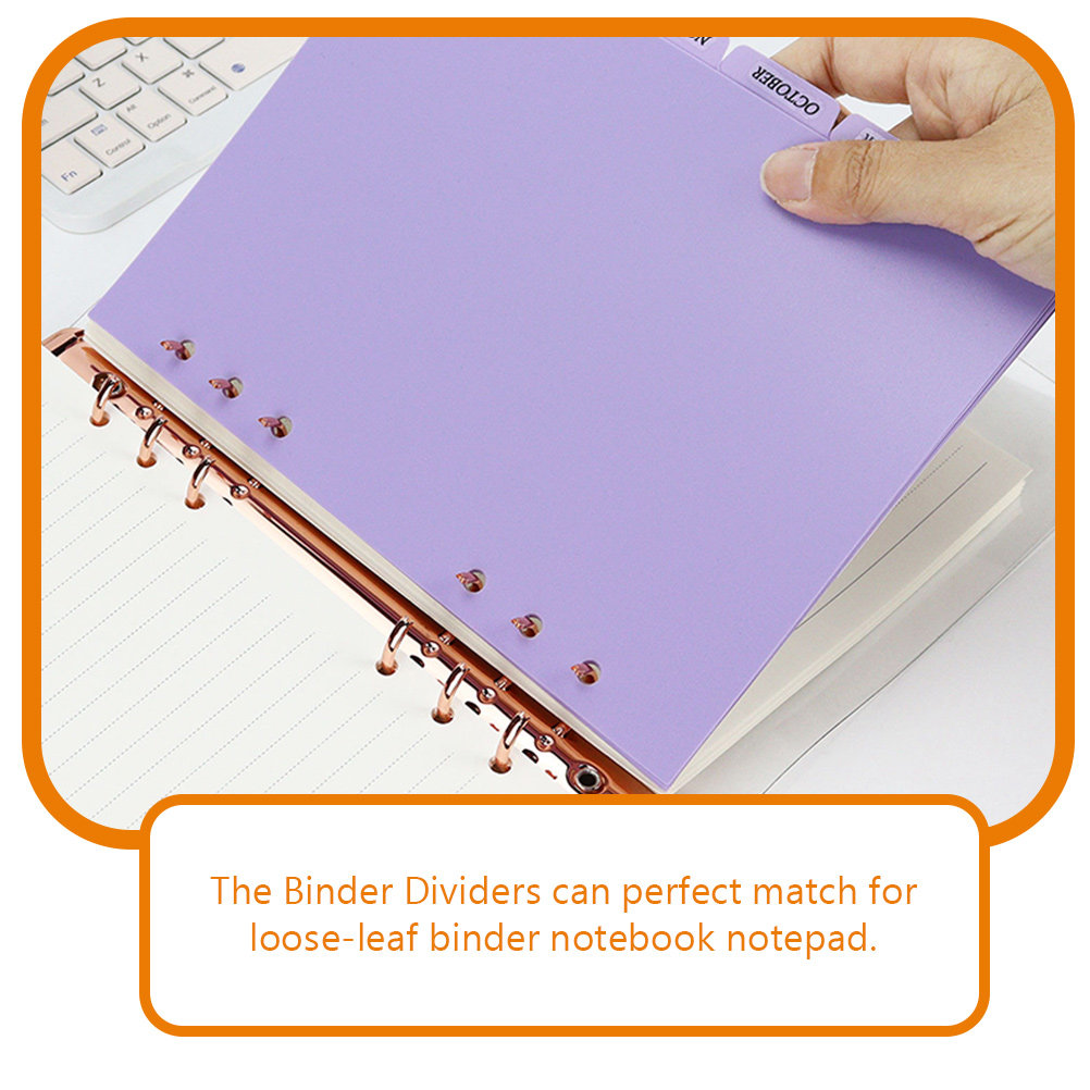 6pcs Notebook Refill Dividers  - Tab Divider A4 review and price