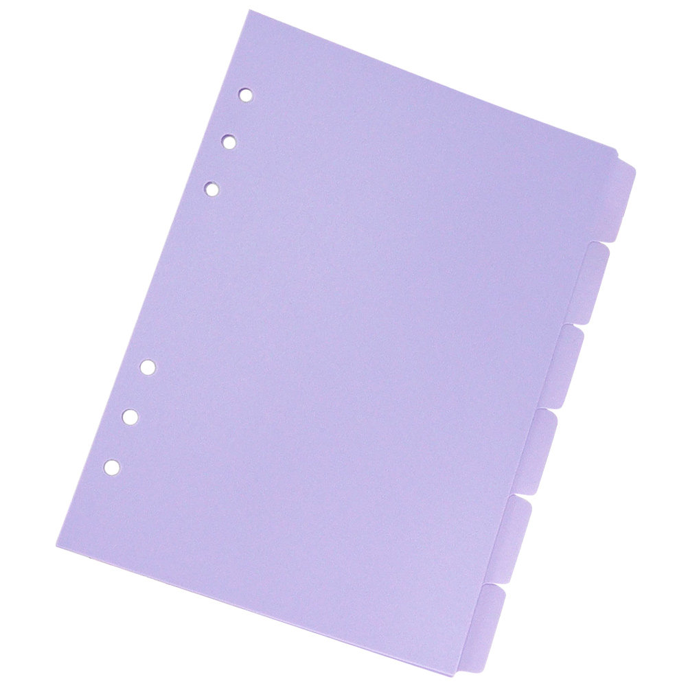 6pcs Notebook Refill Dividers  - Tab Divider A4 review and price