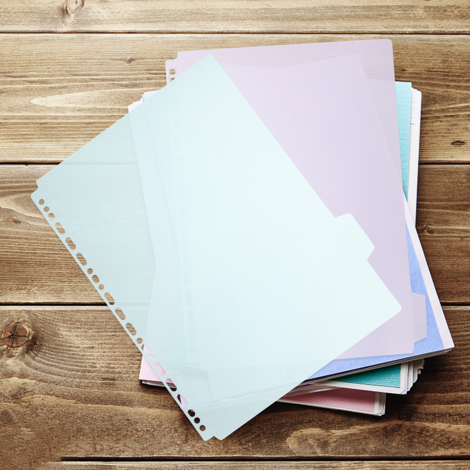 6Pcs Sturdy PP Tabbed Binder D - Tab Divider A4 review and price