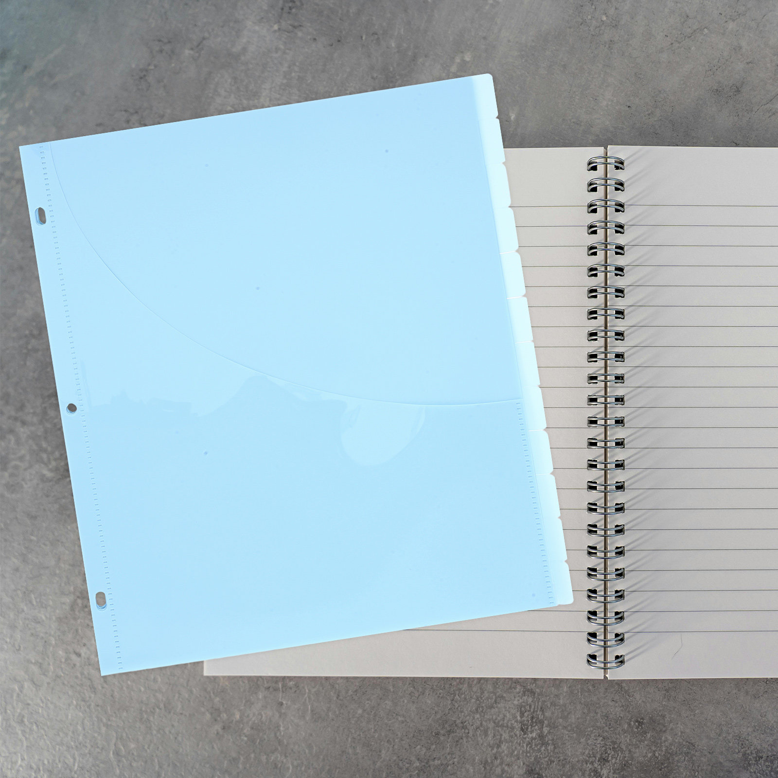 12Pcs Binder Dividers A4 Plast - Tab Divider A4 review and price