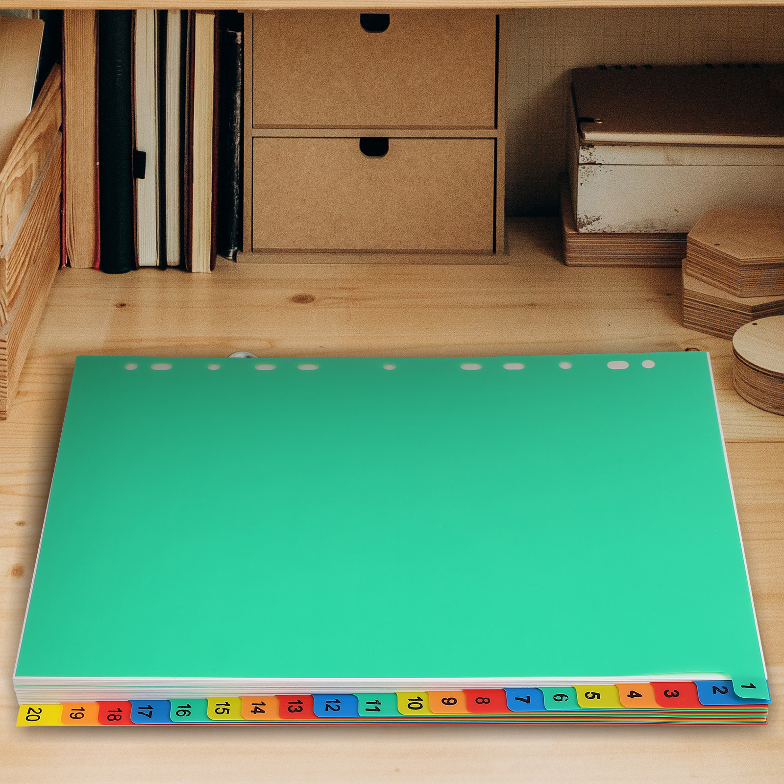 20 Pages A4 Colorful Plastic T - Tab Divider A4 review and price