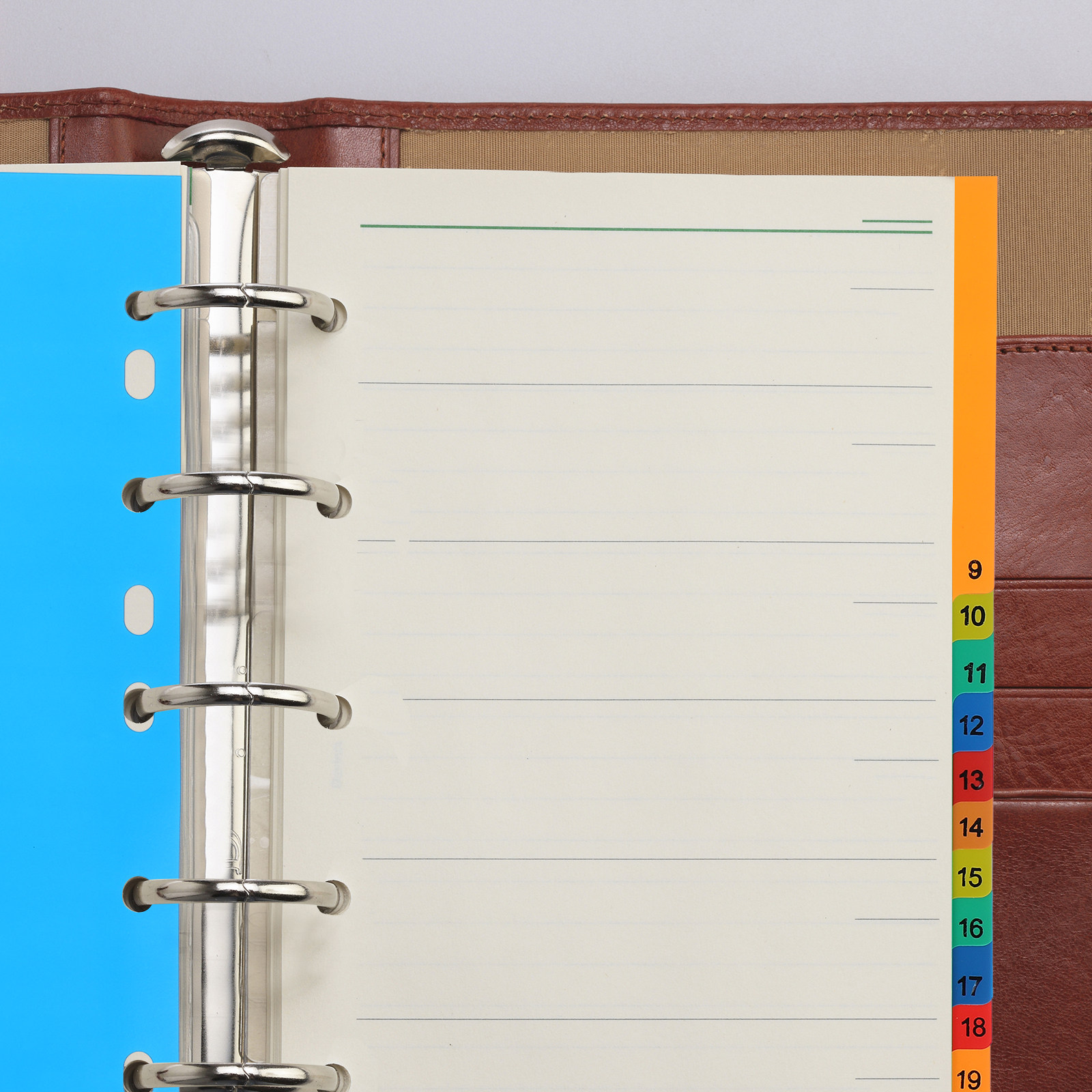 20 Pages A4 Colorful Plastic T - Tab Divider A4 review and price